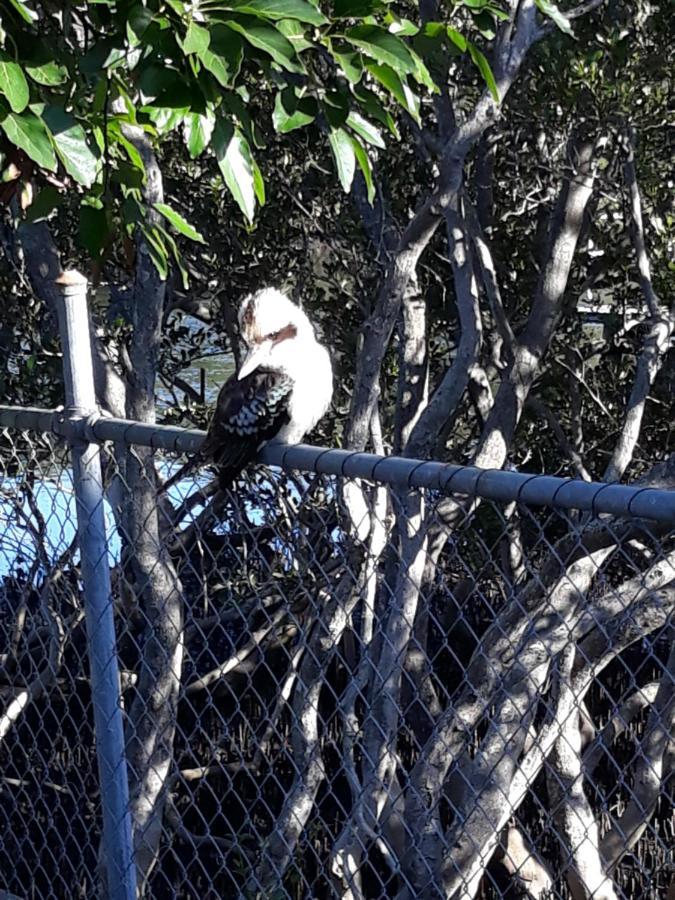 Bay Executive Motel Batemans Bay Luaran gambar