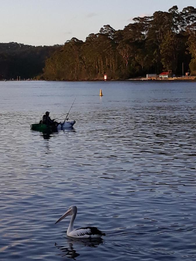 Bay Executive Motel Batemans Bay Luaran gambar